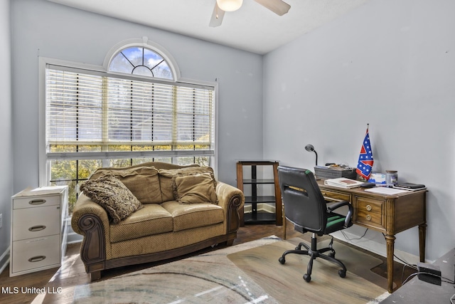 office space featuring hardwood / wood-style floors and ceiling fan