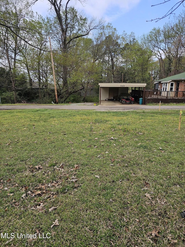 view of yard featuring a carport