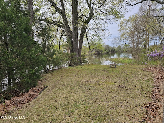 view of yard featuring a water view