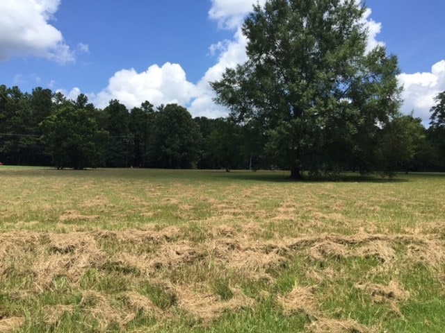 13 N Livingston Rd, Madison MS, 39110 land for sale