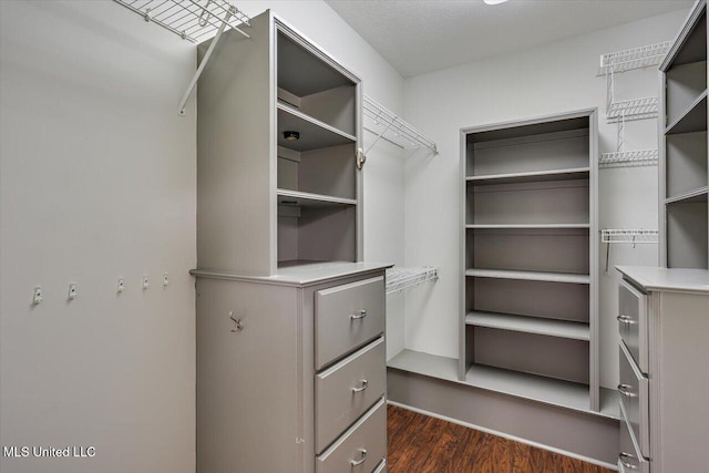 spacious closet featuring dark wood finished floors