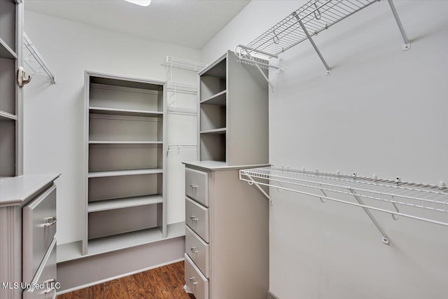 spacious closet with dark wood finished floors