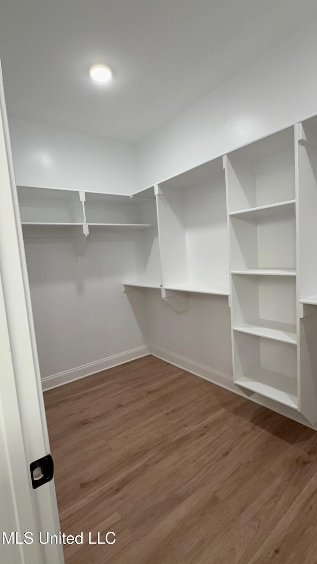 spacious closet with dark hardwood / wood-style floors