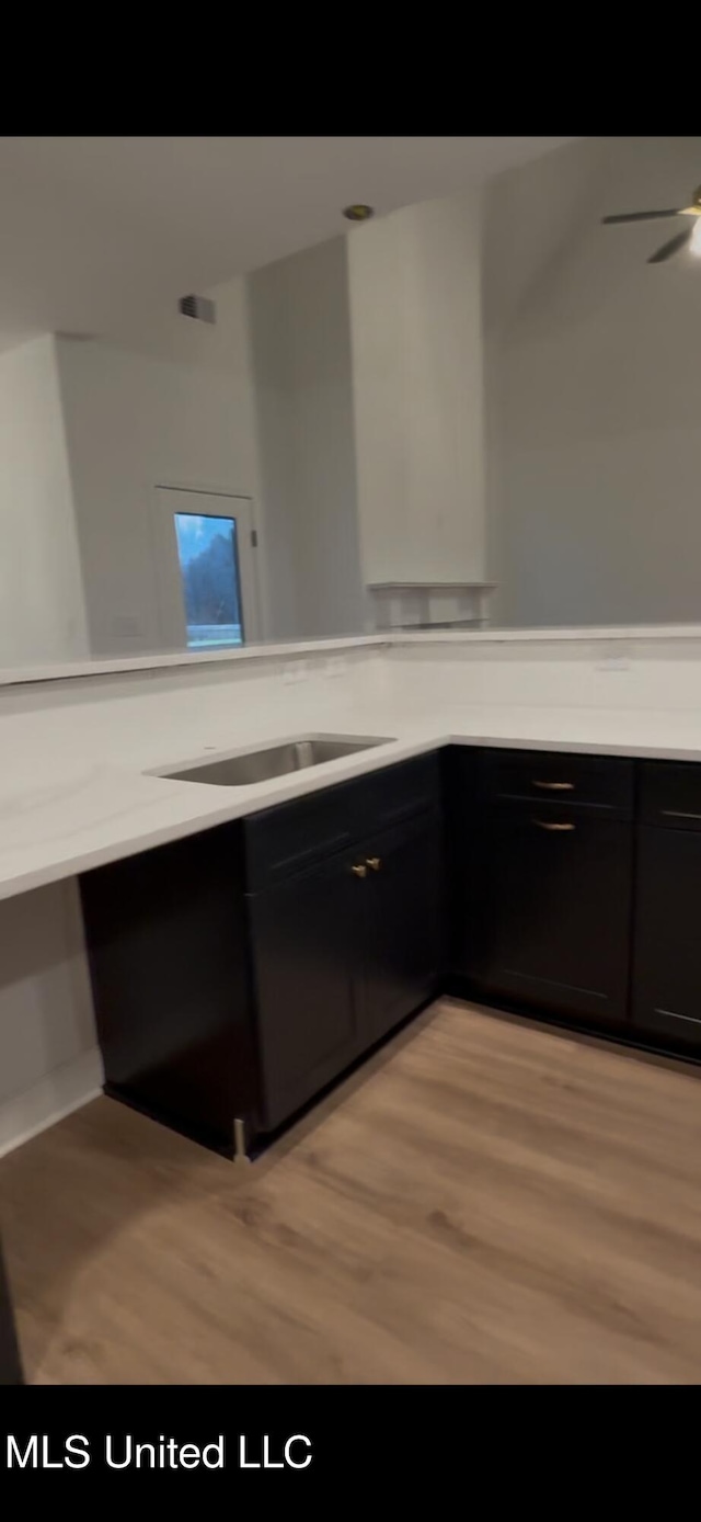 kitchen featuring sink and light wood-type flooring