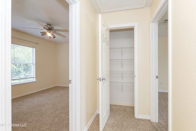 hallway with light colored carpet