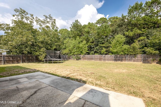 view of yard featuring a patio and a trampoline