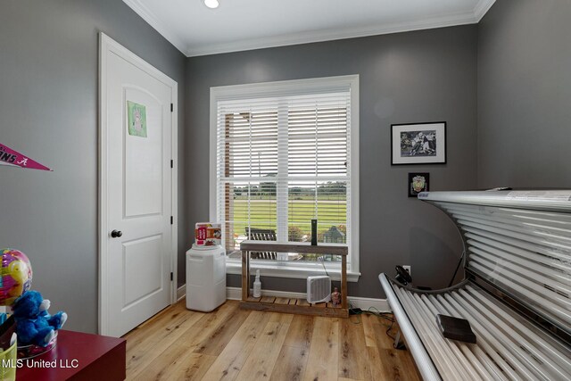 446 Newman Camp Rd, Sumrall, MS 39482 - misc room featuring light wood-type flooring, baseboards, crown molding, and recessed lighting