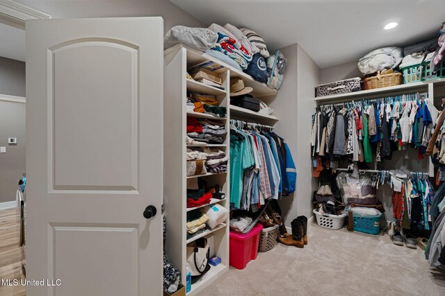 446 Newman Camp Rd, Sumrall, MS 39482 - spacious closet featuring carpet floors