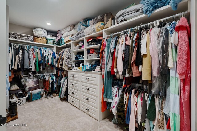 446 Newman Camp Rd, Sumrall, MS 39482 - walk in closet with carpet floors