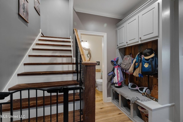 446 Newman Camp Rd, Sumrall, MS 39482 - mudroom with light wood-style flooring and crown molding