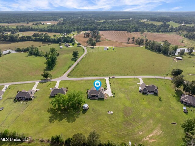 446 Newman Camp Rd, Sumrall, MS 39482 - aerial view of sparsely populated area