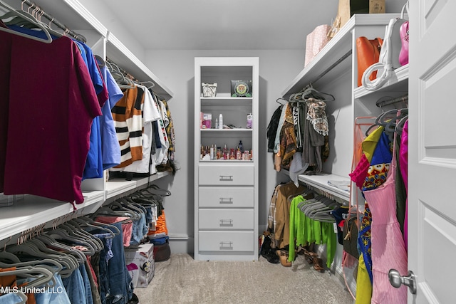 962 Glenwild Cir, Canton, MS 39046 - spacious closet featuring carpet flooring