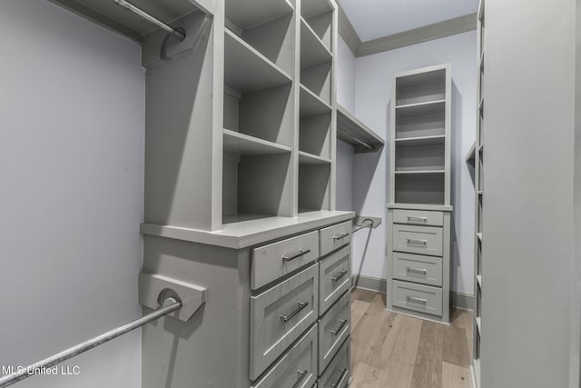 spacious closet featuring light wood-style floors