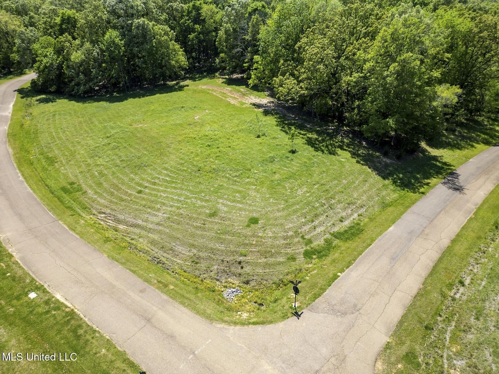 177 Chestnut Hill Rd, Flora, MS 39071