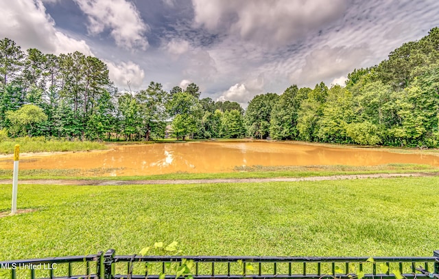 625 Wild Horse Ln, Brandon, MS 39042 - view of grassy yard featuring a water view