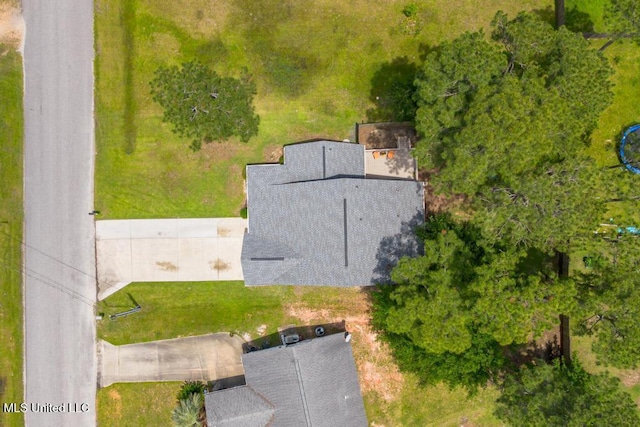 bird's eye view