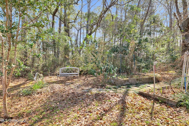 view of yard with a vegetable garden