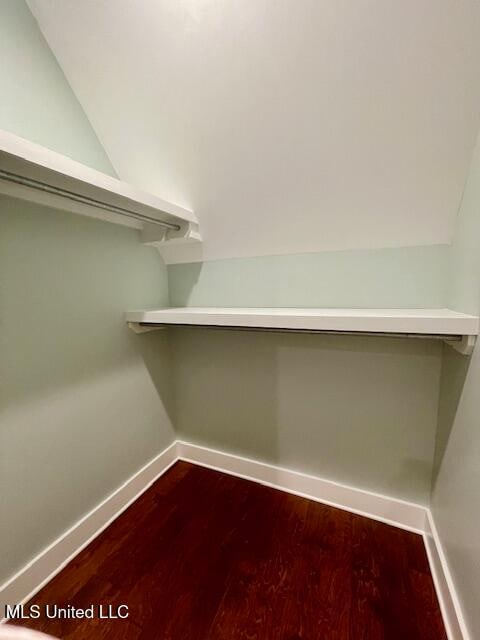 spacious closet with hardwood / wood-style flooring and lofted ceiling