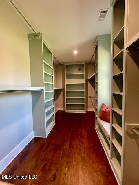 spacious closet with dark wood-type flooring