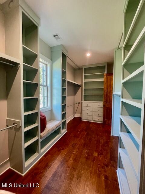 walk in closet featuring dark wood-type flooring