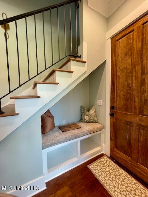 mudroom featuring dark hardwood / wood-style flooring