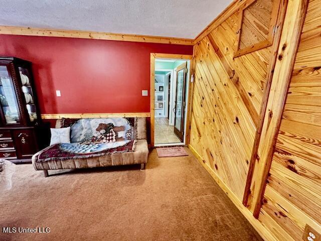 interior space featuring a textured ceiling, wood walls, and carpet