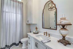 381 Parkinson Rd, Flora, MS 39071 - full bathroom featuring vanity, toilet, a chandelier, and curtained shower