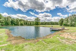 381 Parkinson Rd, Flora, MS 39071 - water view with a heavily wooded area