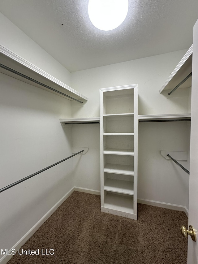 spacious closet with dark carpet