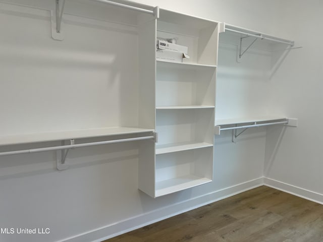 walk in closet featuring dark hardwood / wood-style floors