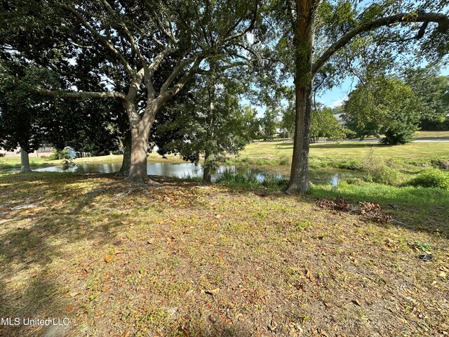 view of yard featuring a water view