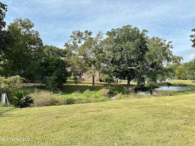 view of yard with a water view