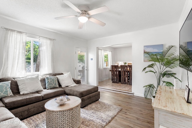 living room featuring a textured ceiling, ceiling fan, hardwood / wood-style floors, and a healthy amount of sunlight