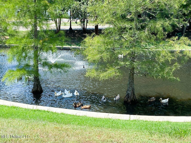 view of water feature