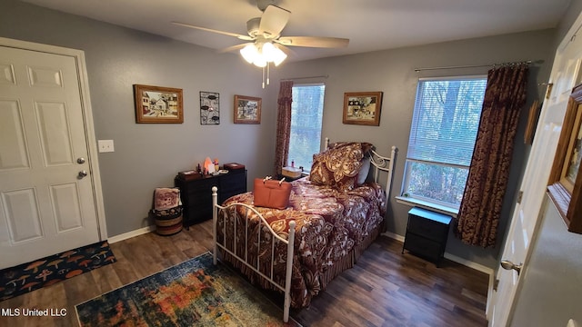 bedroom featuring a ceiling fan, multiple windows, baseboards, and wood finished floors