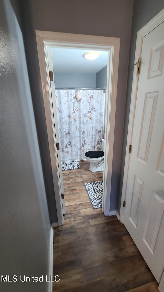 hallway with dark wood finished floors