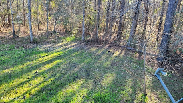 view of yard with a wooded view