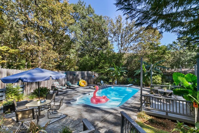 view of swimming pool featuring a patio and a diving board