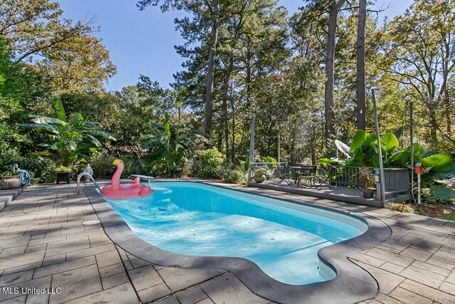 view of swimming pool with a patio area