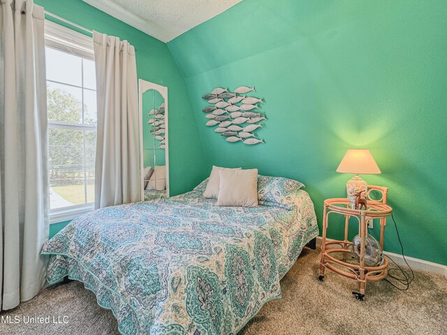 6085 Apache Dr, Kiln, MS 39556 - carpeted bedroom with baseboards and lofted ceiling