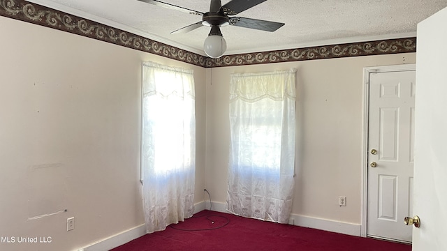 spare room featuring carpet flooring, ceiling fan, a textured ceiling, and ornamental molding