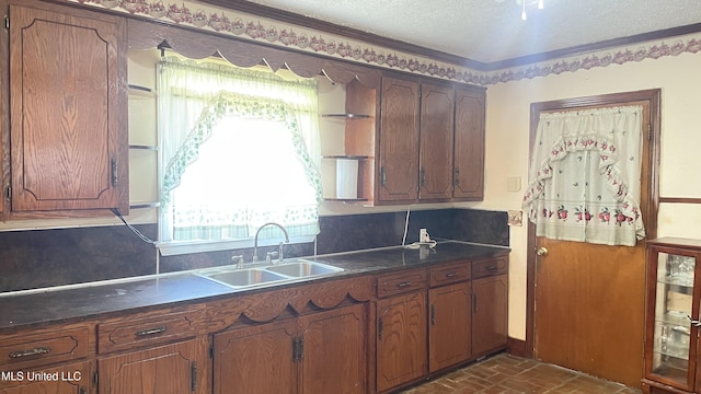 kitchen with a textured ceiling, backsplash, crown molding, and sink