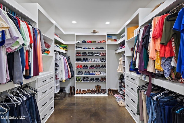 view of spacious closet