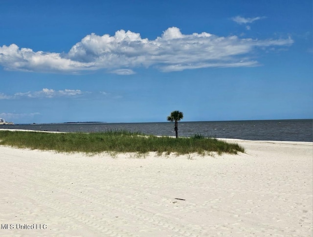 property view of water featuring a view of the beach