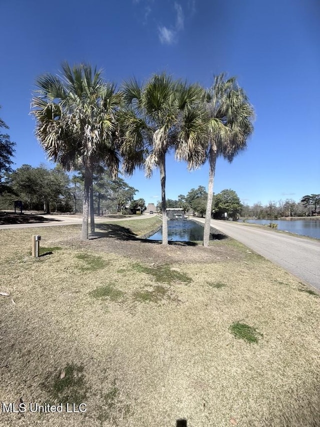 view of yard featuring a water view