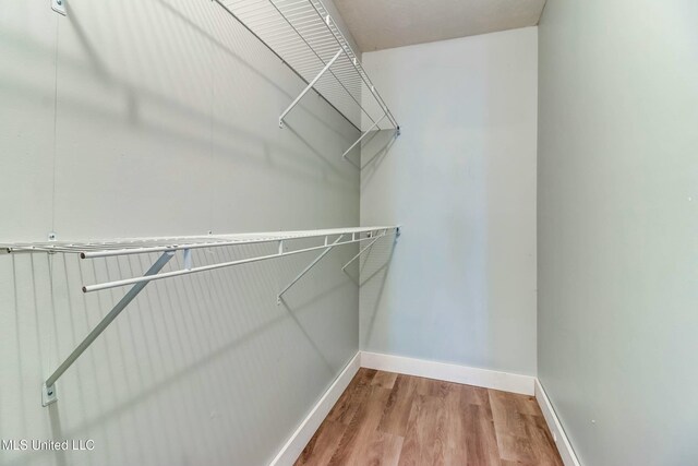 walk in closet with hardwood / wood-style floors