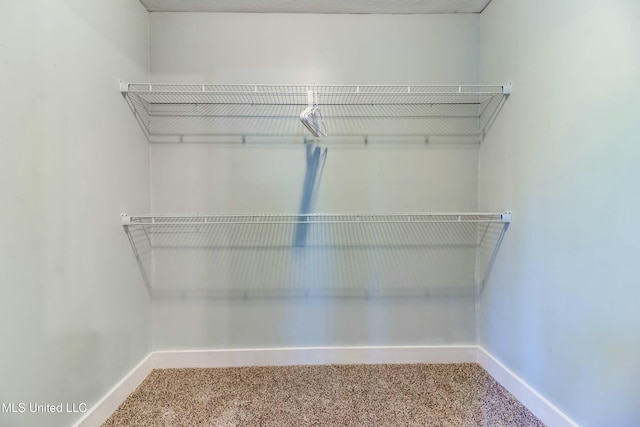 spacious closet with carpet