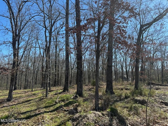 Listing photo 3 for 123 Bridgewater Bnd, Ridgeland MS 39157