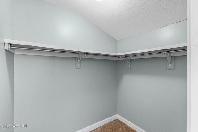 spacious closet with carpet floors and vaulted ceiling