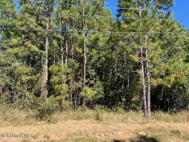 Cain Rd, Bay Saint Louis MS, 39520 land for sale